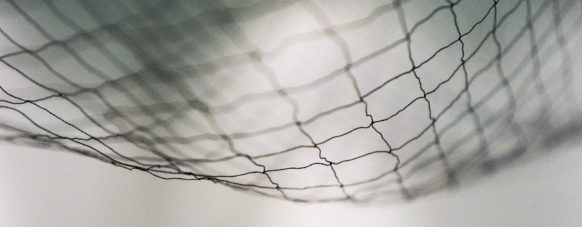 SuiteScript with a Safety Net